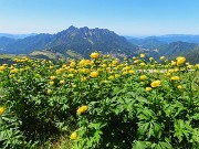 Capanna 2000 ad anello da Alpe Arera, festa di fiori-13giu26- FOTOGALLERY